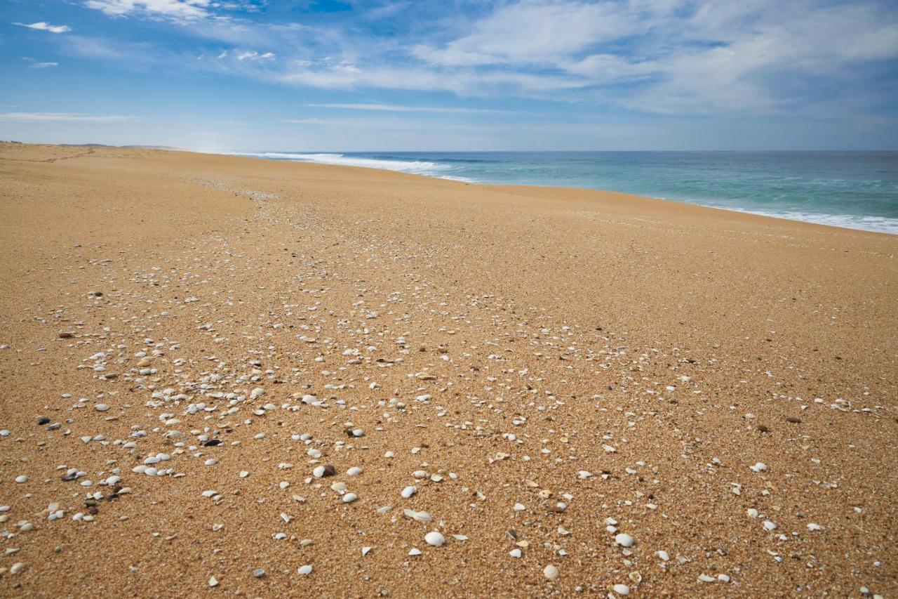 Apart@Costasantoandre Beach Santiago do Cacém Eksteriør billede